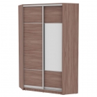 Шкаф-купе Аларти YA-230х1250-1ЯШТ-D4D3