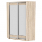 Шкаф-купе Аларти YA-230х1400-718-4ДСС-D2D2