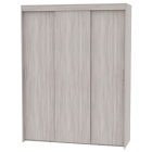 Шкаф-купе Аларти T-3-230х175х60ЯШС-4