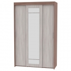 Шкаф-купе Аларти T-3-230х145х60-MЯШТ-ЯШС-1