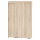 Шкаф-купе Аларти T-3-230х145х60-MДСС-8