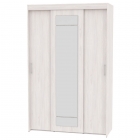 Шкаф-купе Аларти T-3-230х145х60-MЯАС-13