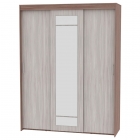Шкаф-купе Аларти T-3-230х175х60-MЯШТ-ЯШС-2