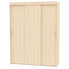 Шкаф-купе Аларти T-3-230х175х60-MЯАС-5