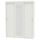 Шкаф-купе Аларти T-3-230х175х60-MВД-9