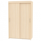 Шкаф-купе Аларти T-1-198х120х60ДМ-2