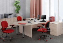 Набор Альтерна Референт 8 Венге