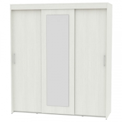 Шкаф-купе Аларти T-3-198х175х60-MВД-6