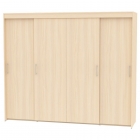 Шкаф-купе Аларти T-5-198х235х45-MДМ-12