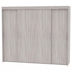 Шкаф-купе Аларти T-5-198х235х60ЯШС-11