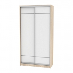 Шкаф-купе Аларти B-230х120х60-2ДСС-Белый-D9D9