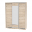 Шкаф-купе Аларти B-230х180х60-2ДСС-D7D8D7