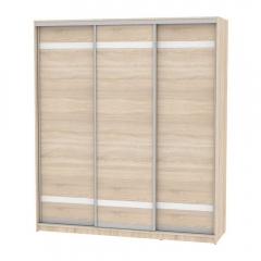 Шкаф-купе Аларти B-230х200х60-1ДСС-D9D9D9