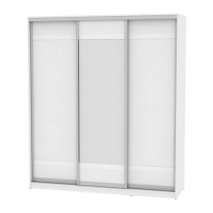 Шкаф-купе Аларти B-230х200х60-2Белый-D9D10D9