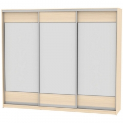 Шкаф-купе Аларти B-230х270х60-3ДМ-D8D8D8