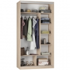 Шкаф-купе Аларти B-220х120х60-2ДСС-D9D9