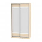 Шкаф-купе Аларти B-220х120х60-2ДМ-D10D10