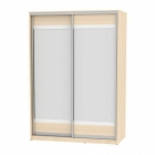 Шкаф-купе Аларти B-220х160х60-2ДМ-D10D10