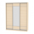 Шкаф-купе Аларти B-220х180х60-1ДМ-D7D8D7