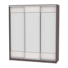 Шкаф-купе Аларти B-220х200х60-2ЯАТ-ЯАС-D8D8D8