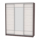 Шкаф-купе Аларти B-220х200х60-2ЯАТ-ЯАС-D7D8D7