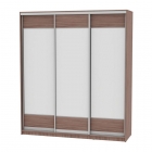 Шкаф-купе Аларти B-220х200х60-3ЯШТ-D8D8D8