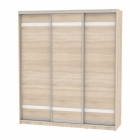 Шкаф-купе Аларти B-220х200х60-3ДСС-D9D9D9