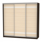 Шкаф-купе Аларти B-220х235х60-1Венге-ДМ-D9D9D9