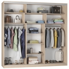 Шкаф-купе Аларти B-220х235х60-1ЯАС-D7D8D7