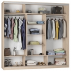 Шкаф-купе Аларти B-220х235х60-2ЯШТ-D8D8D8