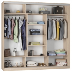 Шкаф-купе Аларти B-220х235х60-2Венге-ДМ-D10D10D10