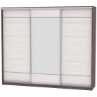 Шкаф-купе Аларти B-220х270х60-3ЯАТ-ЯАС-D7D8D7