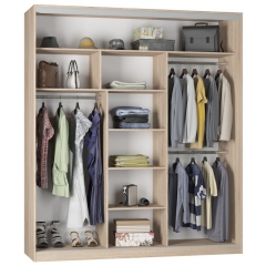 Шкаф-купе Аларти B-220х200х60-3ДВ-D9D9D9