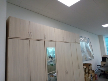 Антресоль Персона Грата Twin 16.13.13Пр Туя