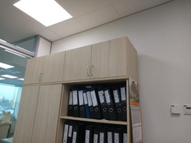 Антресоль Персона Грата Twin 16.13.131 Туя